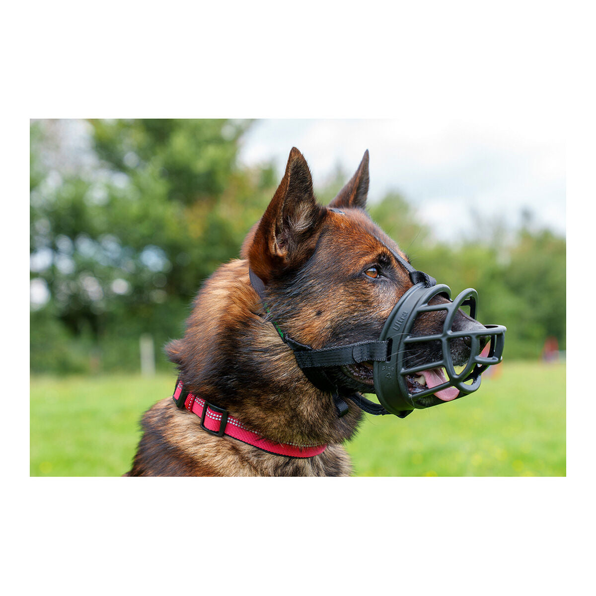 Muzzle Company of Animals Baskerville Ultra Black (5 x 22 cm) - Majpet
