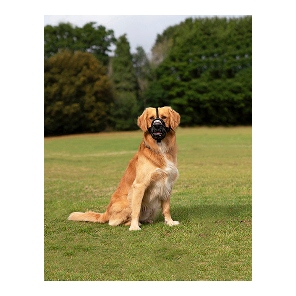 Muzzle Company of Animals Baskerville Ultra Black (5 x 22 cm) - Majpet