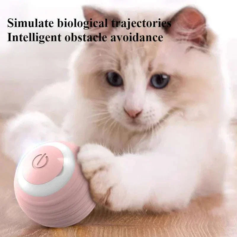Interactive Cat Toy Ball 360° Automatic Rotating Rolling Ball - Majpet