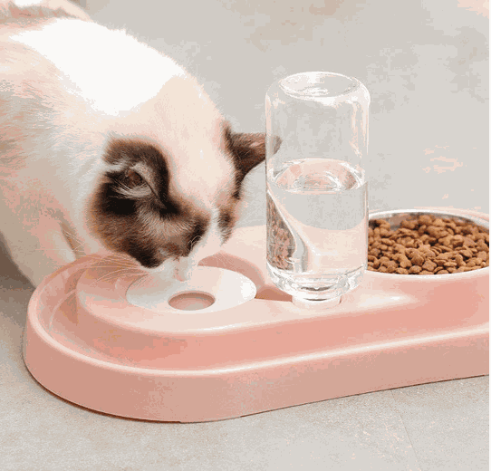 Stainless Steel Pet Bowls with Automatic Water Bottle - Majpet