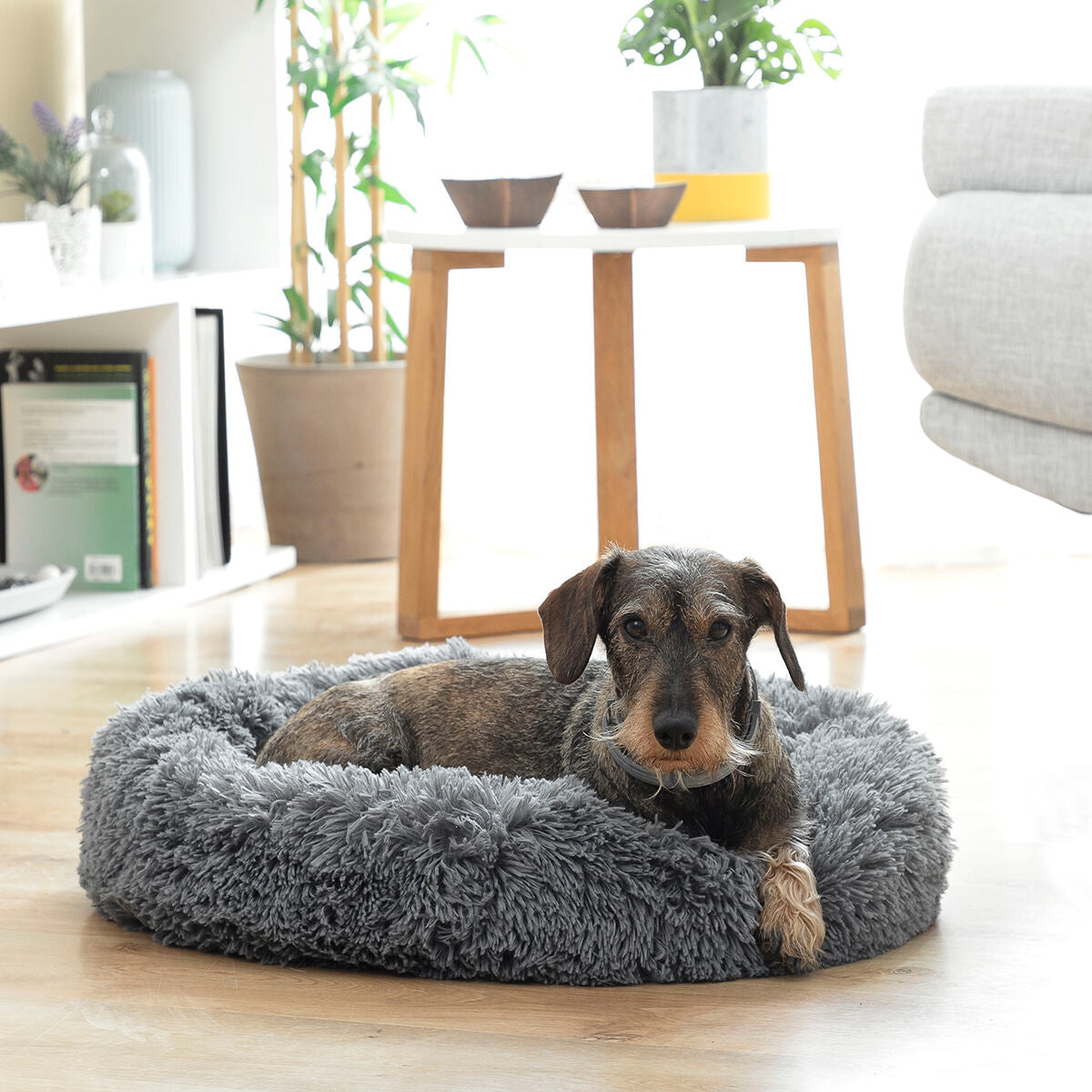 Anti-stress Pet Bed Bepess InnovaGoods Ø 60 cm - Majpet