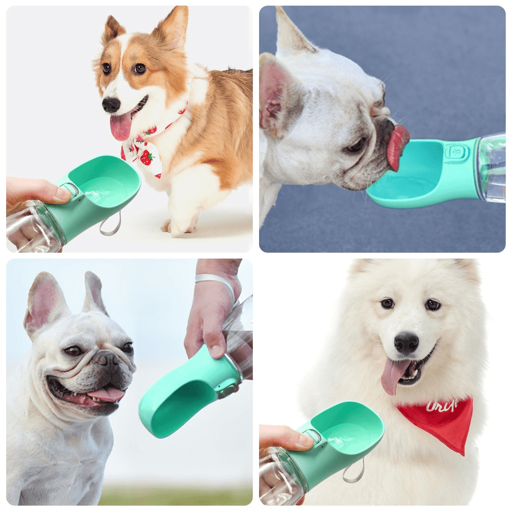 Outdoor Pet Dog Feeder Bowls Cats Dogs Travel Water Dispenser Feeder - Majpet