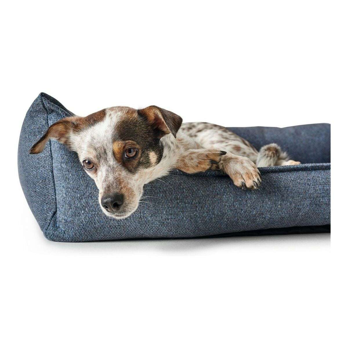 Dog Sofa Hunter Prag Blue 90 x 70 cm - Majpet