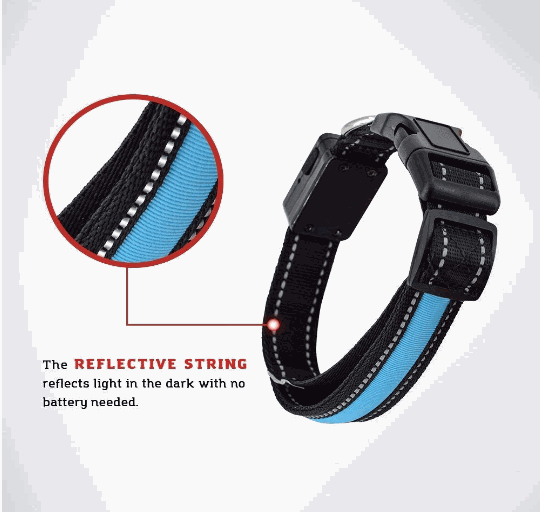 USB and Solar Charge Reflective Led Dog Collar - Majpet